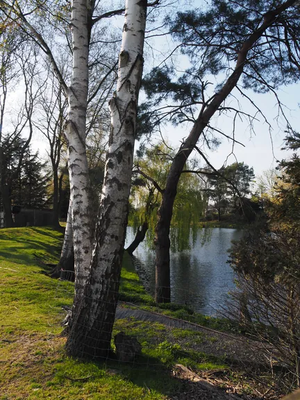 Kalkense Meersen (België)